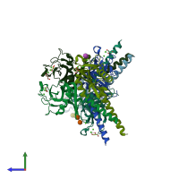 PDB entry 4ymd coloured by chain, side view.