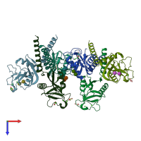 PDB entry 4ymd coloured by chain, top view.