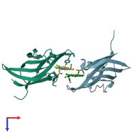 PDB entry 4ymp coloured by chain, top view.