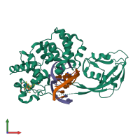 PDB entry 4yoq coloured by chain, front view.