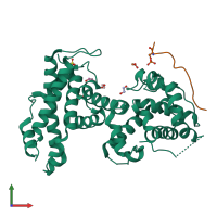 PDB entry 4yos coloured by chain, front view.