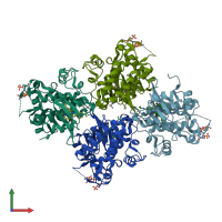 PDB entry 4yp8 coloured by chain, front view.