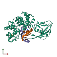 PDB entry 4yph coloured by chain, front view.