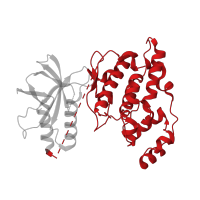 The deposited structure of PDB entry 4yr8 contains 4 copies of CATH domain 1.10.510.10 (Transferase(Phosphotransferase); domain 1) in Mitogen-activated protein kinase 8. Showing 1 copy in chain C [auth A].