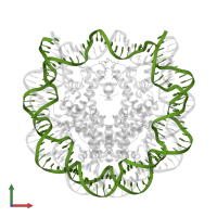 DNA (147-MER) in PDB entry 4ys3, assembly 1, front view.