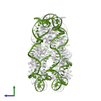 DNA (147-MER) in PDB entry 4ys3, assembly 1, side view.