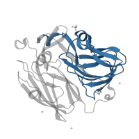 The deposited structure of PDB entry 4yso contains 1 copy of Pfam domain PF07731 (Multicopper oxidase) in Copper-containing nitrite reductase. Showing 1 copy in chain A.