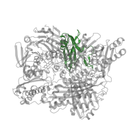 The deposited structure of PDB entry 4ytz contains 2 copies of Pfam domain PF01315 (Aldehyde oxidase and xanthine dehydrogenase, a/b hammerhead domain) in Xanthine dehydrogenase/oxidase. Showing 1 copy in chain A.