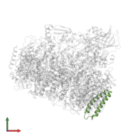 Photosystem II reaction center protein Z in PDB entry 4yuu, assembly 4, front view.