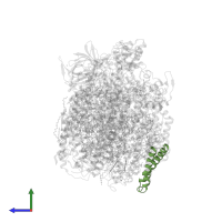 Photosystem II reaction center protein Z in PDB entry 4yuu, assembly 4, side view.
