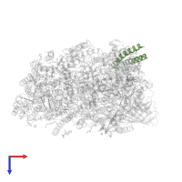 Photosystem II reaction center protein Z in PDB entry 4yuu, assembly 4, top view.