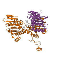 The deposited structure of PDB entry 4yvf contains 4 copies of Pfam domain PF05221 (S-adenosyl-L-homocysteine hydrolase) in Adenosylhomocysteinase. Showing 2 copies in chain A.