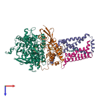 PDB entry 4yxd coloured by chain, top view.
