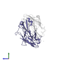 POM1 FAB LIGHT CHAIN in PDB entry 4yxh, assembly 2, side view.