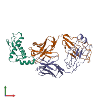 PDB entry 4yxk coloured by chain, front view.