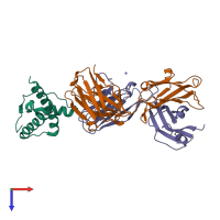 PDB entry 4yxl coloured by chain, top view.