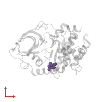 Modified residue TPO in PDB entry 4yxs, assembly 1, front view.