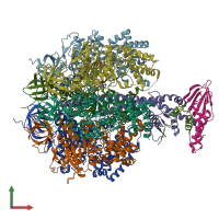 PDB entry 4yxw coloured by chain, front view.