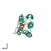 PDB entry 4yy6 coloured by chain, side view.