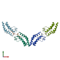 PDB entry 4yyj coloured by chain, front view.