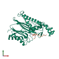 PDB entry 4yzh coloured by chain, front view.