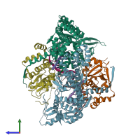 PDB entry 4z2d coloured by chain, side view.