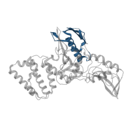 The deposited structure of PDB entry 4z32 contains 8 copies of Pfam domain PF17887 (Jak1 pleckstrin homology-like domain) in Tyrosine-protein kinase JAK2. Showing 1 copy in chain A.