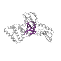 The deposited structure of PDB entry 4z32 contains 8 copies of Pfam domain PF18379 (FERM F1 ubiquitin-like domain) in Tyrosine-protein kinase JAK2. Showing 1 copy in chain A.