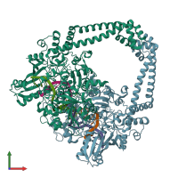 PDB entry 4z3o coloured by chain, front view.