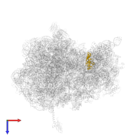 Small ribosomal subunit protein uS13 in PDB entry 4z3s, assembly 2, top view.