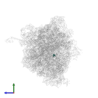 Modified residue 2MU in PDB entry 4z3s, assembly 2, side view.