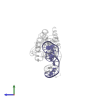DNA in PDB entry 4z47, assembly 1, side view.