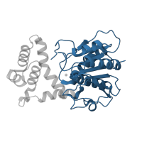 The deposited structure of PDB entry 4z49 contains 2 copies of CATH domain 3.40.50.1820 (Rossmann fold) in Fatty acid synthase. Showing 1 copy in chain B.
