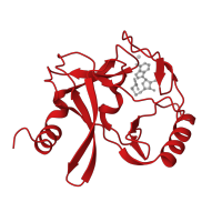 The deposited structure of PDB entry 4z4p contains 1 copy of CATH domain 2.170.270.10 (Beta-clip-like) in Histone-lysine N-methyltransferase 2D. Showing 1 copy in chain A.