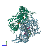 PDB entry 4z4q coloured by chain, side view.