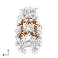 Histone H4 in PDB entry 4z66, assembly 1, side view.