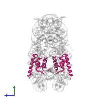 Histone H2B 1.1 in PDB entry 4z66, assembly 1, side view.