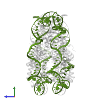 DNA (147-MER) in PDB entry 4z66, assembly 1, side view.