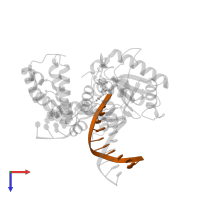 DNA (5'-D(*GP*CP*TP*GP*AP*TP*GP*CP*GP*A)-3') in PDB entry 4z6e, assembly 1, top view.