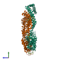 Hetero hexameric assembly 1 of PDB entry 4z8k coloured by chemically distinct molecules, side view.