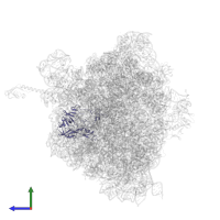 Large ribosomal subunit protein uL2 in PDB entry 4zer, assembly 1, side view.