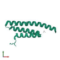 Nuclear receptor-binding factor 2 in PDB entry 4zey, assembly 1, front view.