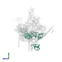 DNA-directed RNA polymerase subunit alpha in PDB entry 4zh4, assembly 1, side view.
