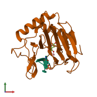PDB entry 4zhn coloured by chain, front view.