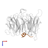 60S ribosomal protein L10-like protein in PDB entry 4zoz, assembly 1, top view.