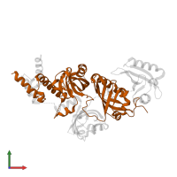 Endothelial PAS domain-containing protein 1 in PDB entry 4zqd, assembly 1, front view.