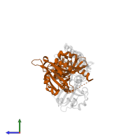 Endothelial PAS domain-containing protein 1 in PDB entry 4zqd, assembly 1, side view.