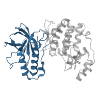 The deposited structure of PDB entry 4zth contains 1 copy of CATH domain 3.30.200.20 (Phosphorylase Kinase; domain 1) in Mitogen-activated protein kinase 14. Showing 1 copy in chain A.