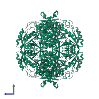Alpha-aminoadipic semialdehyde dehydrogenase in PDB entry 4zvx, assembly 1, side view.