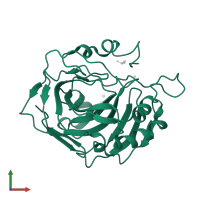 Carbonic anhydrase 2 in PDB entry 4zwz, assembly 1, front view.